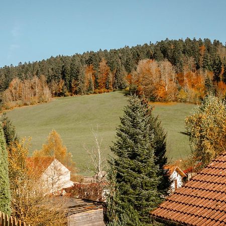 Апартаменты Terrasse Des Monts - Duplex Independant De Charme Les Hopitaux-Neufs Экстерьер фото