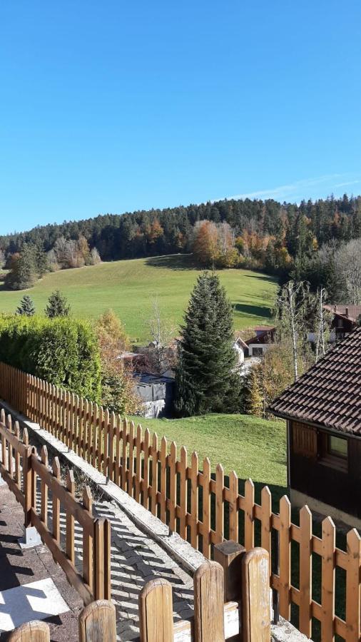 Апартаменты Terrasse Des Monts - Duplex Independant De Charme Les Hopitaux-Neufs Экстерьер фото